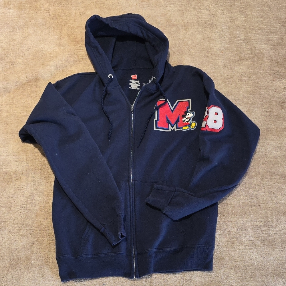 Disney Parks Mickey sweater